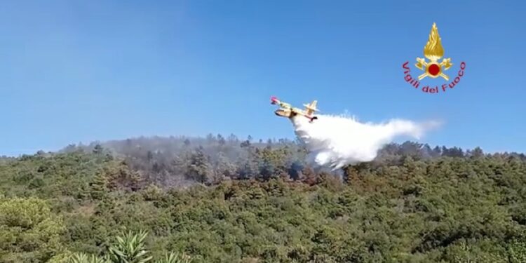 Bruciati tra 6 e 7 ettari bosco e macchia mediterranea