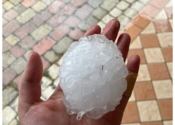 Chicchi grandi come noci