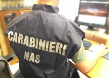 Indagine dei Nas coordinata dalla Procura di Udine