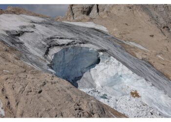 Tra i cinque individuati anche trentino di 30 anni