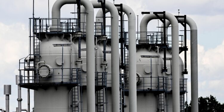 Prezzi subito in calo. Chiuso per manutenzione l'11 luglio