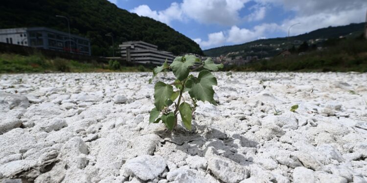 Da mercoledì se non si allenta la morsa di caldo