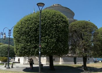 Zona Tempio Voltiano