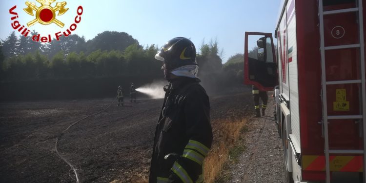 incendio guanzate