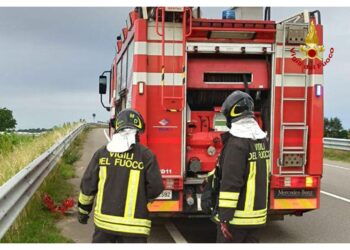 Incidente nelle prime ore di oggi sul Gorzone