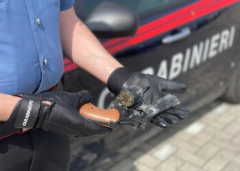 Colpo esploso da guardia giurata in strada nel Bresciano