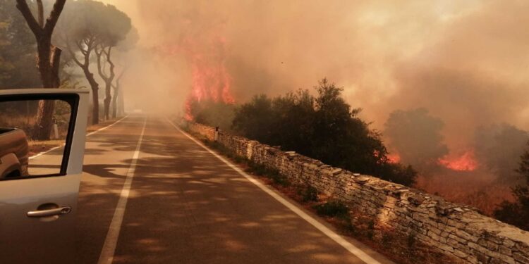 Sul posto 20 mezzi antincendio e un canadair