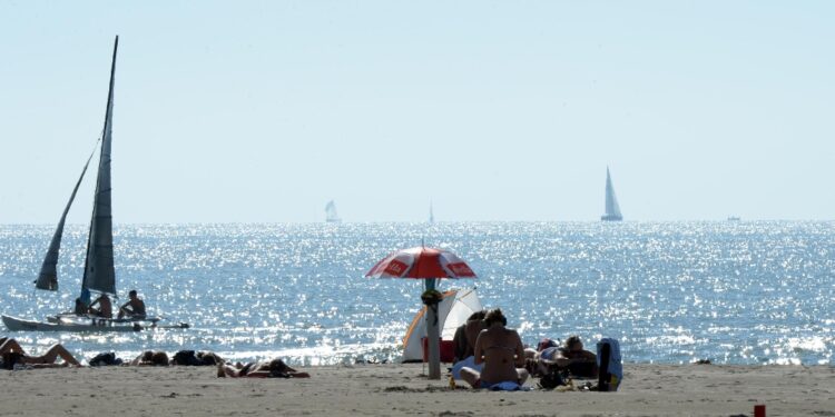 Avvistati senza vita in acqua