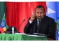 A cinque mesi dalla tregua proclamata tra Addis Abeba e Tplf