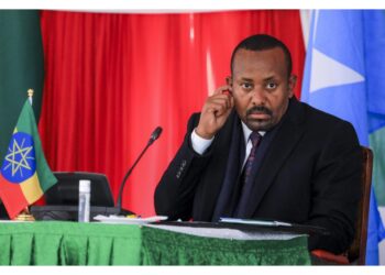 A cinque mesi dalla tregua proclamata tra Addis Abeba e Tplf