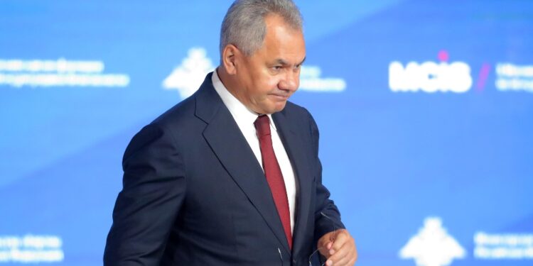 Shoigu responsabile 'dei problemi' che Mosca affronta in Ucraina