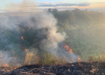 Brucia il bosco di Sant'Agata di Puglia