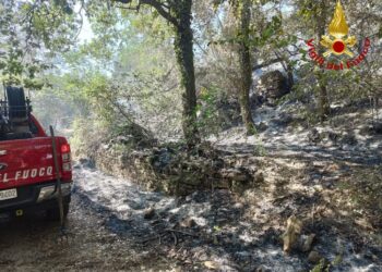 Rinforzi da varie regioni. Evacuati alcuni residenti