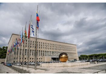 Nota della Farnesina