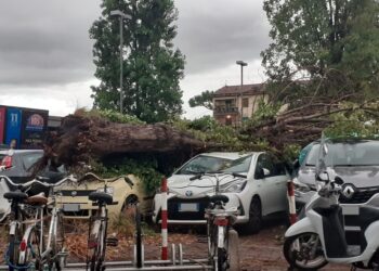 Forti raffiche di vento