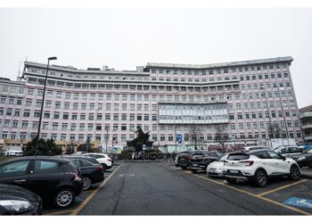 Dato assenso a donazione organi