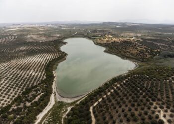 Livello sceso dell'1% nell'ultima settimana