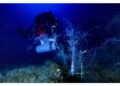 Complesso intervento a 60 metri per ripristinare ecosistema