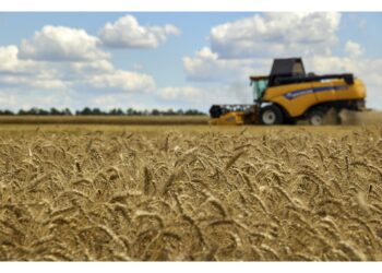 Nella regione di Zaporizhzhia