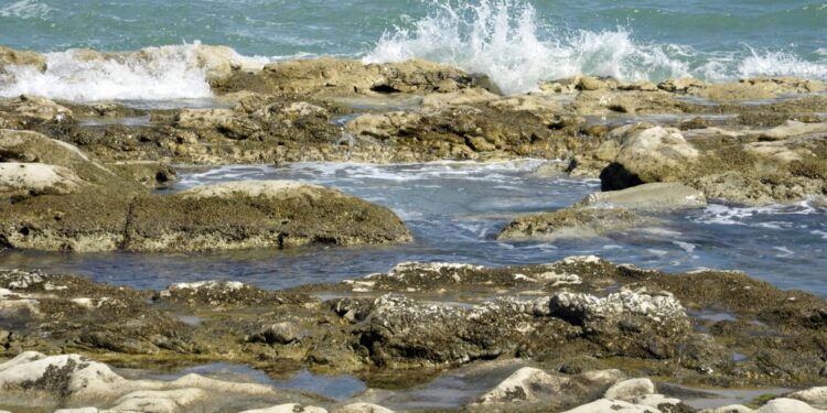 Era uscito per fare immersioni.Lo cercano Guardia costiera e Vvf