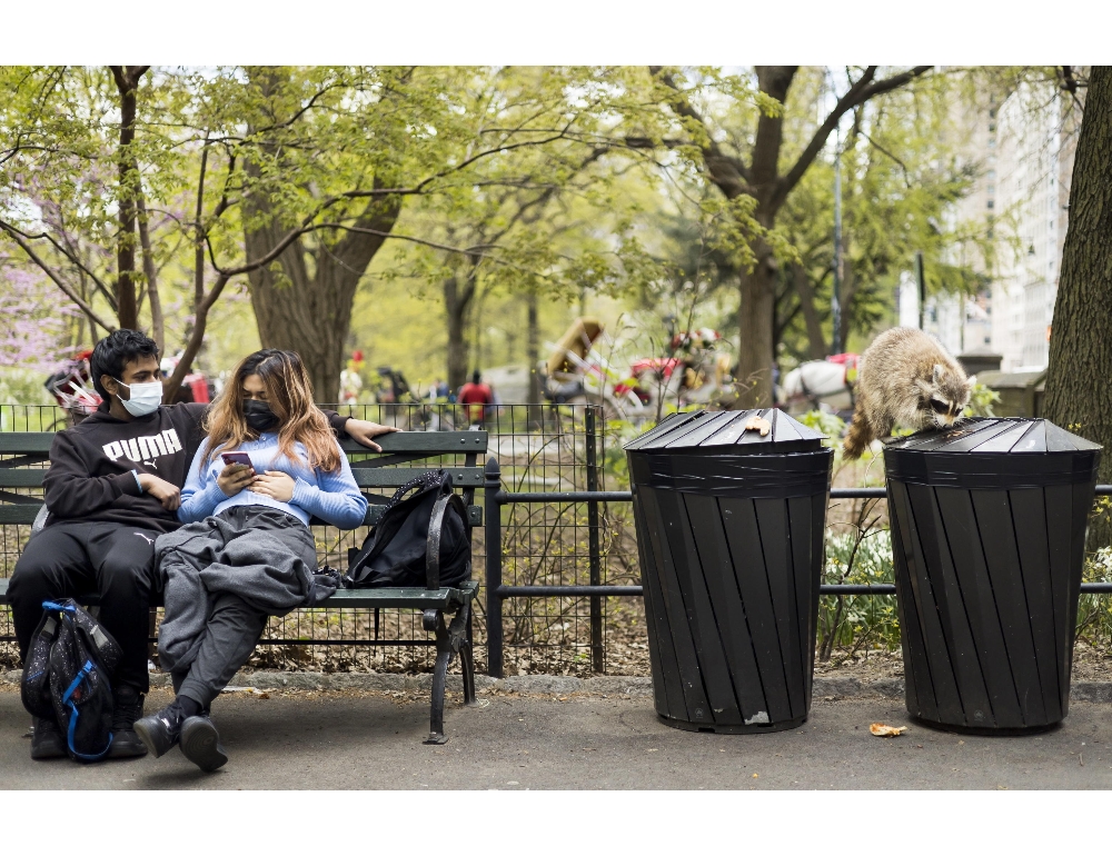 Usa: a Central Park spunta statua Putin tinta di rosso