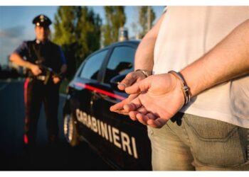 L'uomo bloccato dai carabinieri di Pavia