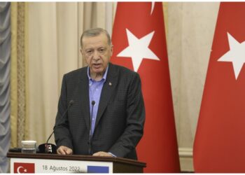 Leader turco: 'Paesi europei raccolgono ciò che hanno seminato'