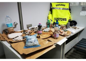 Bilancio controlli Dogane e Gdf all'aeroporto