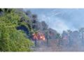 Fiamme in diverse zone provincia dopo allerta arancione