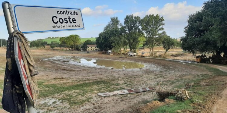 12/o giorno attività a terra e sub dopo alluvione Senigalliese