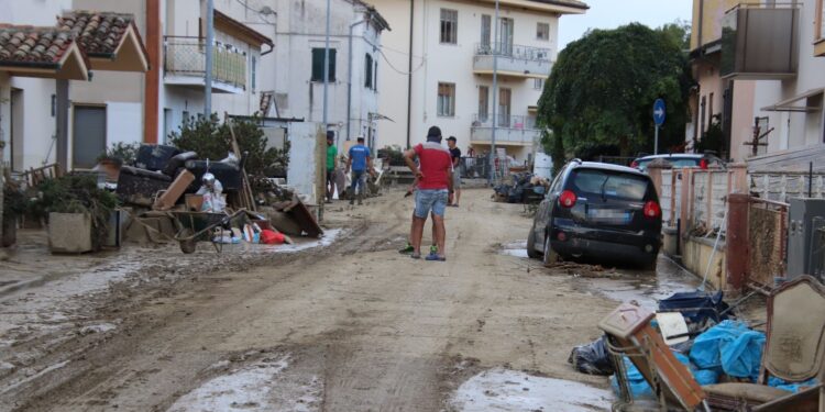 Vvf impegnati in tutte le Marche dopo vento e pioggia di ieri