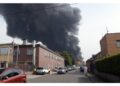 Azienda estranea a rogo