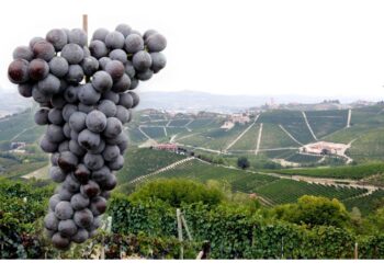 "Serve un piano di invasi per l'estate del 2023"