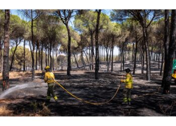 Dura lotta per contenere le fiamme