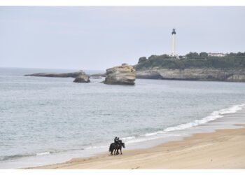 La procura di Bayonne ha aperto un'indagine