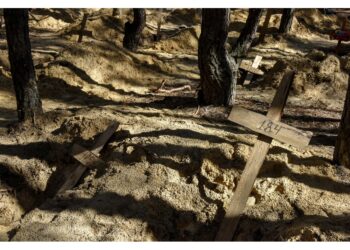 Indagheranno con autorità locali sui crimini commessi nell'area