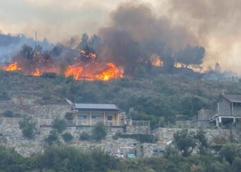 sulle colline di Alassio. Prende corpo ipotesi piromane