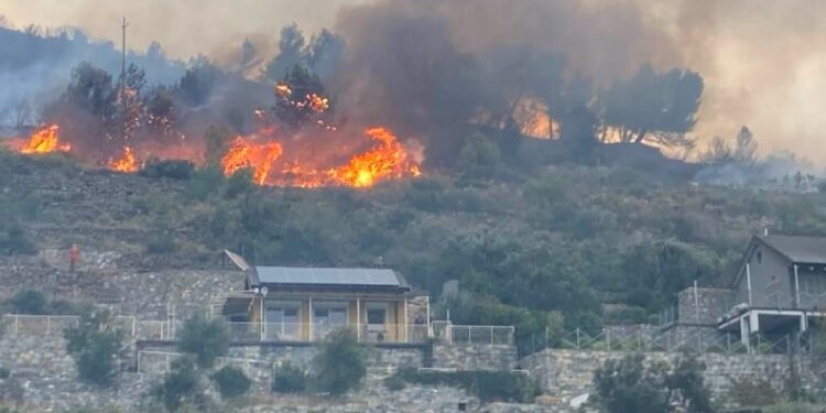 sulle colline di Alassio. Prende corpo ipotesi piromane