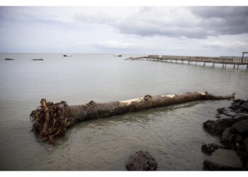 'Potrebbe essere la versione canadese di Sandy'