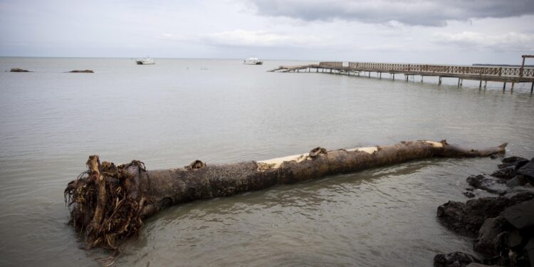 'Potrebbe essere la versione canadese di Sandy'