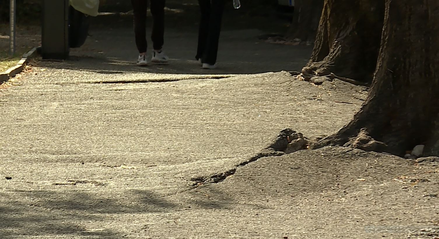 Buche a Como: il percorso a ostacoli di pedoni, ciclisti e automobilisti