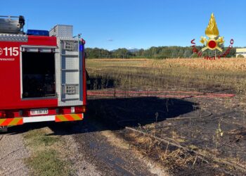 Incendio campo di grano