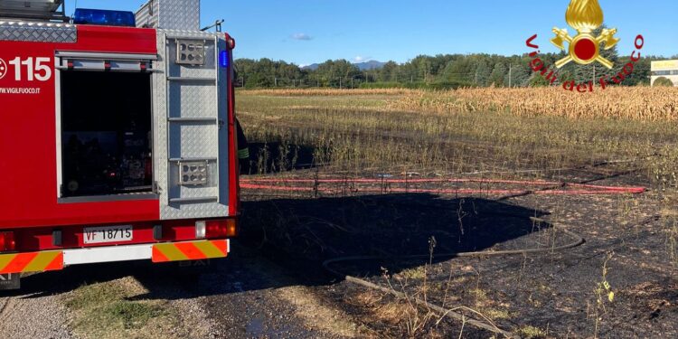 Incendio campo di grano