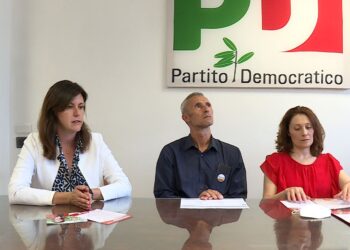 Elezioni