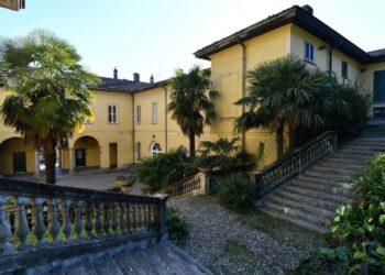 museo erba