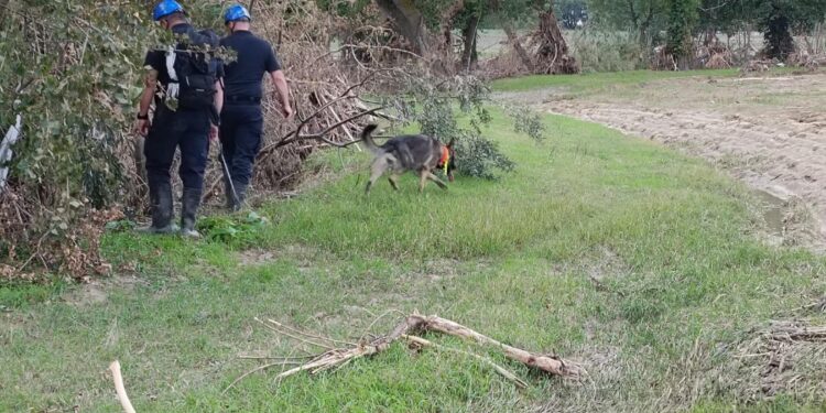 Soccorritori impegnati da 32 giorni