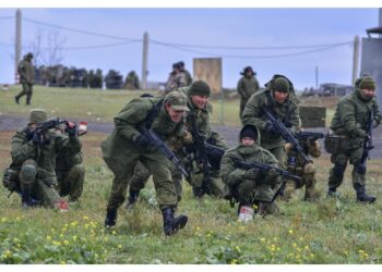Ministro Shoigu riferisce a Putin