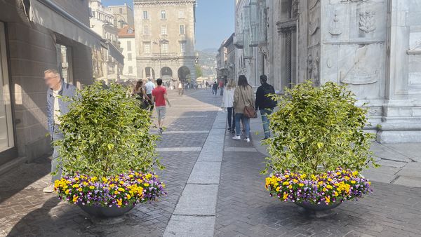 Como, in arrivo la prossima settimana le nuove fioriere in centro