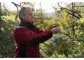 Al via II edizione di Nature Guardians progetto Huawei e Wwf