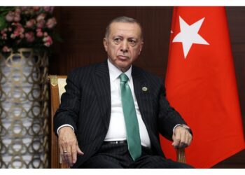 Leader turco critica frase Borrell 'Europa come un giardino'